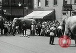 Image of Elephants bowling tourney Cincinnati Ohio USA, 1934, second 6 stock footage video 65675023131