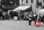 Image of Elephants bowling tourney Cincinnati Ohio USA, 1934, second 7 stock footage video 65675023131
