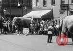 Image of Elephants bowling tourney Cincinnati Ohio USA, 1934, second 8 stock footage video 65675023131