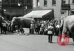 Image of Elephants bowling tourney Cincinnati Ohio USA, 1934, second 9 stock footage video 65675023131