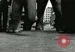Image of Elephants bowling tourney Cincinnati Ohio USA, 1934, second 11 stock footage video 65675023131