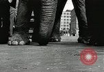 Image of Elephants bowling tourney Cincinnati Ohio USA, 1934, second 12 stock footage video 65675023131