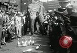 Image of Elephants bowling tourney Cincinnati Ohio USA, 1934, second 16 stock footage video 65675023131