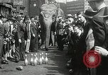 Image of Elephants bowling tourney Cincinnati Ohio USA, 1934, second 18 stock footage video 65675023131