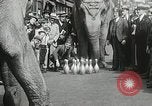 Image of Elephants bowling tourney Cincinnati Ohio USA, 1934, second 23 stock footage video 65675023131