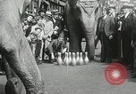 Image of Elephants bowling tourney Cincinnati Ohio USA, 1934, second 24 stock footage video 65675023131
