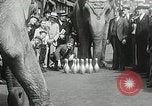 Image of Elephants bowling tourney Cincinnati Ohio USA, 1934, second 25 stock footage video 65675023131