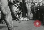 Image of Elephants bowling tourney Cincinnati Ohio USA, 1934, second 27 stock footage video 65675023131
