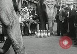 Image of Elephants bowling tourney Cincinnati Ohio USA, 1934, second 28 stock footage video 65675023131