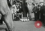 Image of Elephants bowling tourney Cincinnati Ohio USA, 1934, second 29 stock footage video 65675023131