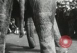 Image of Elephants bowling tourney Cincinnati Ohio USA, 1934, second 34 stock footage video 65675023131
