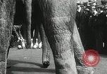 Image of Elephants bowling tourney Cincinnati Ohio USA, 1934, second 38 stock footage video 65675023131