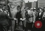 Image of Elephants bowling tourney Cincinnati Ohio USA, 1934, second 43 stock footage video 65675023131