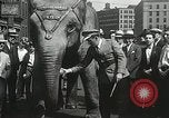 Image of Elephants bowling tourney Cincinnati Ohio USA, 1934, second 44 stock footage video 65675023131
