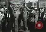 Image of Elephants bowling tourney Cincinnati Ohio USA, 1934, second 46 stock footage video 65675023131