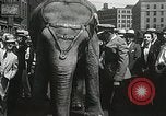 Image of Elephants bowling tourney Cincinnati Ohio USA, 1934, second 47 stock footage video 65675023131