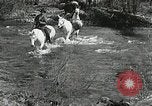 Image of Government workers plant trees Yacolt Washington USA, 1934, second 3 stock footage video 65675023133