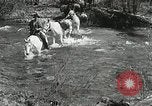 Image of Government workers plant trees Yacolt Washington USA, 1934, second 4 stock footage video 65675023133