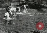 Image of Government workers plant trees Yacolt Washington USA, 1934, second 5 stock footage video 65675023133