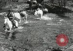 Image of Government workers plant trees Yacolt Washington USA, 1934, second 6 stock footage video 65675023133