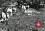 Image of Government workers plant trees Yacolt Washington USA, 1934, second 7 stock footage video 65675023133