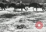Image of Government workers plant trees Yacolt Washington USA, 1934, second 8 stock footage video 65675023133