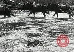 Image of Government workers plant trees Yacolt Washington USA, 1934, second 12 stock footage video 65675023133