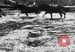 Image of Government workers plant trees Yacolt Washington USA, 1934, second 13 stock footage video 65675023133