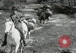 Image of Government workers plant trees Yacolt Washington USA, 1934, second 14 stock footage video 65675023133