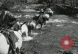 Image of Government workers plant trees Yacolt Washington USA, 1934, second 16 stock footage video 65675023133