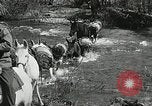 Image of Government workers plant trees Yacolt Washington USA, 1934, second 17 stock footage video 65675023133