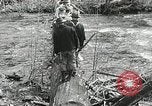 Image of Government workers plant trees Yacolt Washington USA, 1934, second 21 stock footage video 65675023133