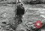Image of Government workers plant trees Yacolt Washington USA, 1934, second 22 stock footage video 65675023133