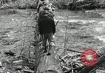 Image of Government workers plant trees Yacolt Washington USA, 1934, second 23 stock footage video 65675023133