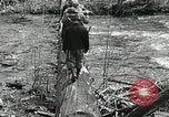 Image of Government workers plant trees Yacolt Washington USA, 1934, second 24 stock footage video 65675023133