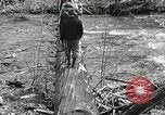 Image of Government workers plant trees Yacolt Washington USA, 1934, second 26 stock footage video 65675023133