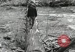 Image of Government workers plant trees Yacolt Washington USA, 1934, second 27 stock footage video 65675023133