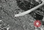Image of Government workers plant trees Yacolt Washington USA, 1934, second 45 stock footage video 65675023133