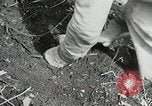Image of Government workers plant trees Yacolt Washington USA, 1934, second 47 stock footage video 65675023133