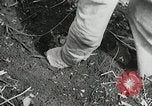 Image of Government workers plant trees Yacolt Washington USA, 1934, second 48 stock footage video 65675023133
