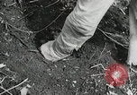 Image of Government workers plant trees Yacolt Washington USA, 1934, second 49 stock footage video 65675023133