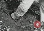 Image of Government workers plant trees Yacolt Washington USA, 1934, second 50 stock footage video 65675023133