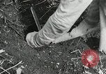 Image of Government workers plant trees Yacolt Washington USA, 1934, second 51 stock footage video 65675023133