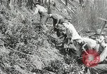 Image of Government workers plant trees Yacolt Washington USA, 1934, second 54 stock footage video 65675023133