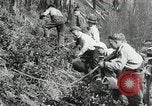 Image of Government workers plant trees Yacolt Washington USA, 1934, second 55 stock footage video 65675023133