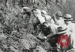 Image of Government workers plant trees Yacolt Washington USA, 1934, second 56 stock footage video 65675023133