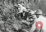 Image of Government workers plant trees Yacolt Washington USA, 1934, second 57 stock footage video 65675023133