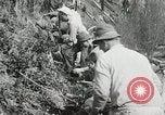 Image of Government workers plant trees Yacolt Washington USA, 1934, second 58 stock footage video 65675023133