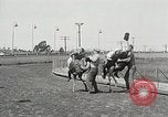 Image Ostrich race El Cerrito California USA, 1934, de la seconde 3 séquences d'archives historiques vidéo 65675023137