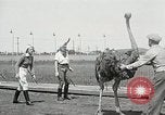 Image Ostrich race El Cerrito California USA, 1934, de la seconde 8 séquences d'archives historiques vidéo 65675023137